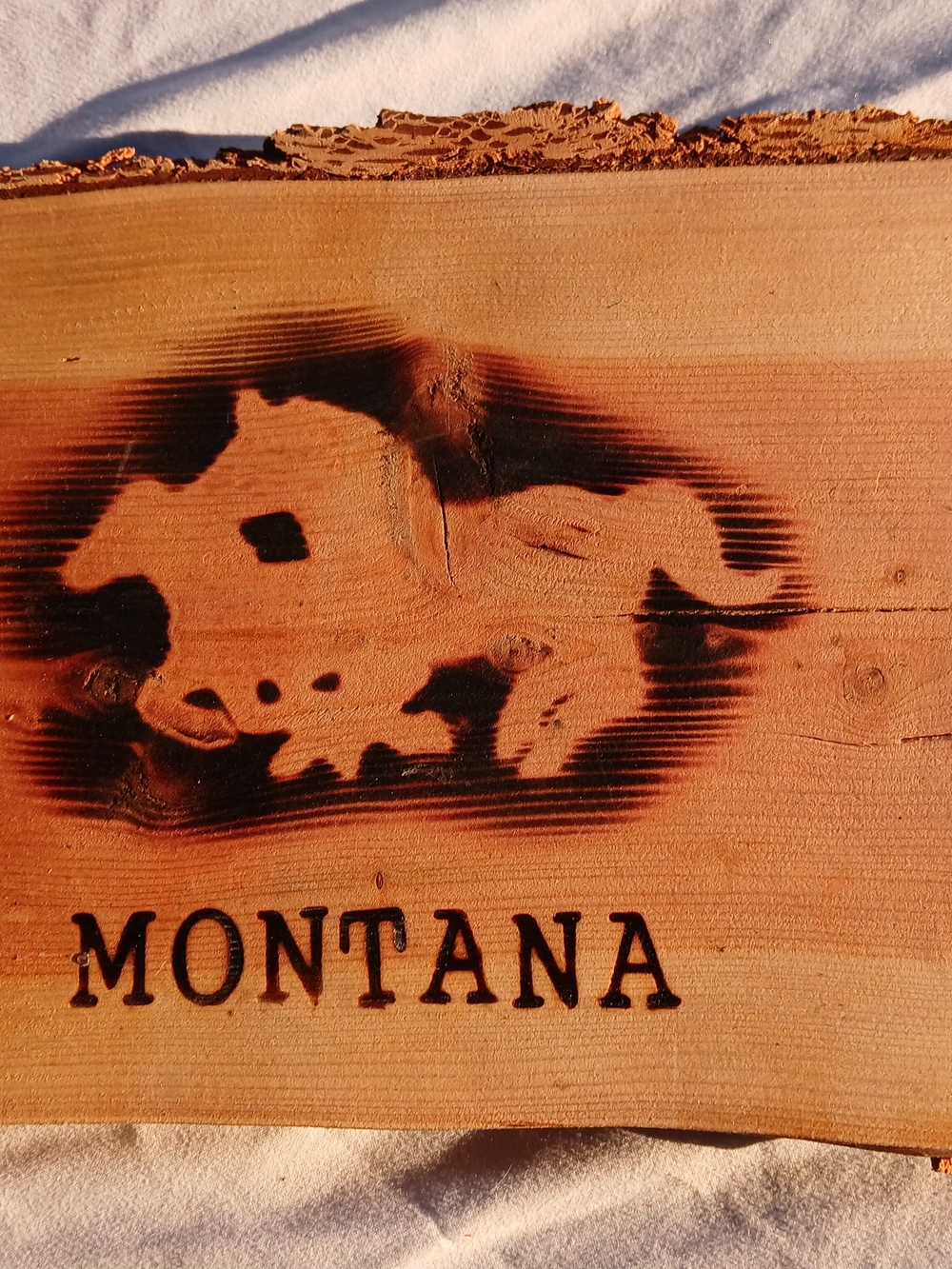Montana Horses Branded Rustic Wood Wall Art - Natural and Black